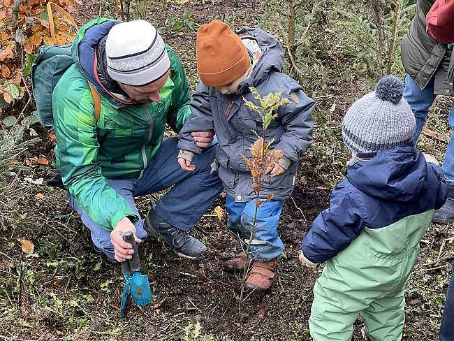 Pflanzaktion im Aachener Wald -